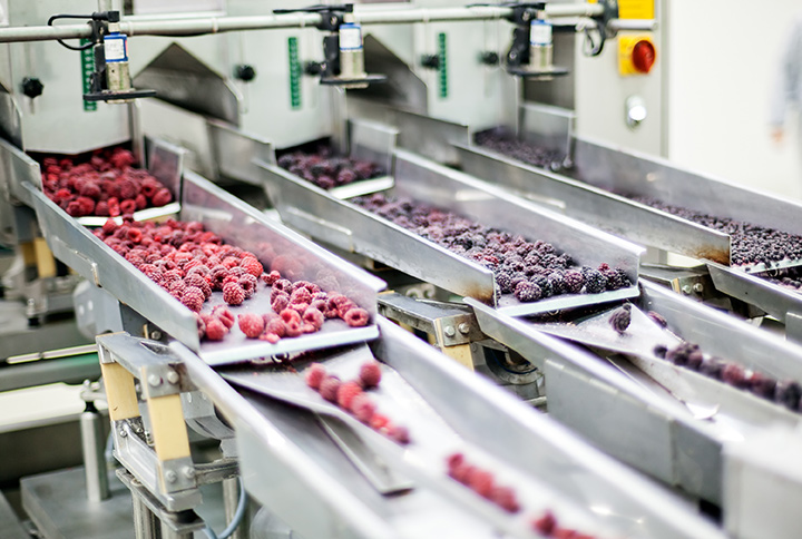 Industry Food Processing